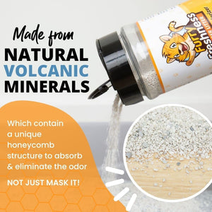 Stain & Odor Eliminator 32oz + Litter Box Odor Eliminator