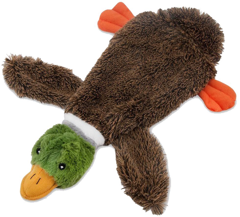 Crinkly Dog Toy
