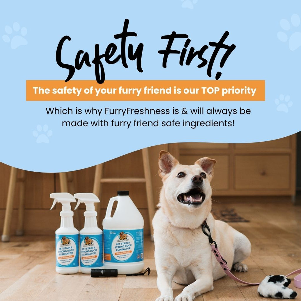 FurryFreshness Pet Stain & Odor Remover (Multiple Sizes)