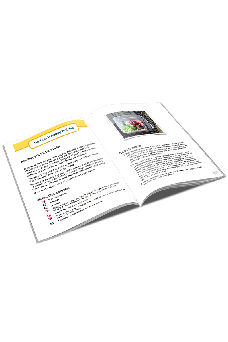 Fast & Simple House Training Secrets